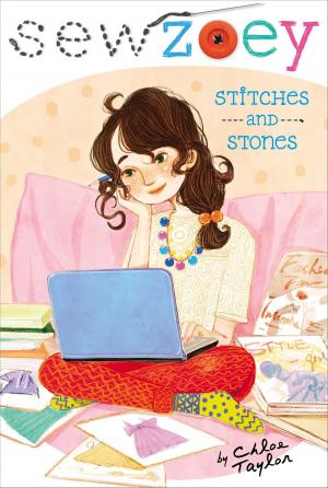 Cover of the book Stitches and Stones by P.J. Night