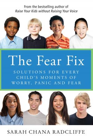 Cover of the book The Fear Fix by wayne lee