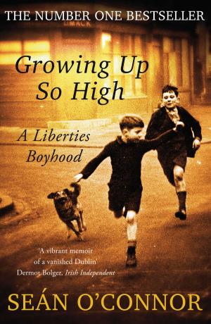Cover of the book Growing Up So High by Frances Black, The Rise Foundation
