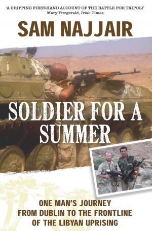 Cover of the book Soldier for a Summer by Deirdre Purcell