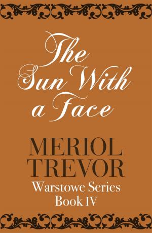 Book cover of The Sun With A Face