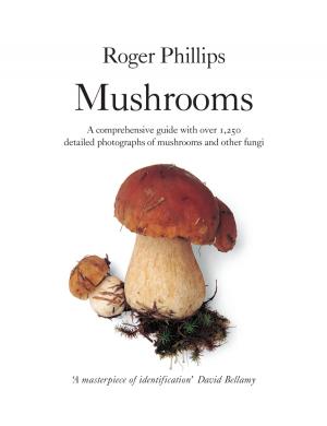 Cover of the book Mushrooms by Michelle Davies