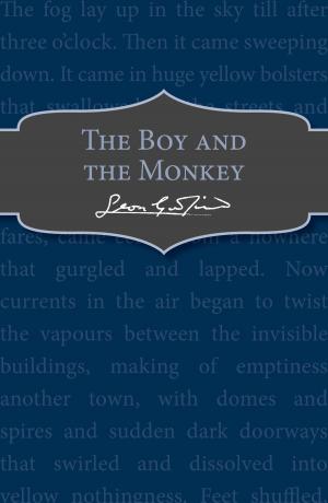 Cover of the book The Boy and the Monkey by Rob Childs