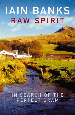 Cover of the book Raw Spirit by Kate Rauner