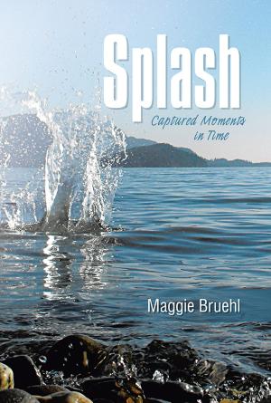 Cover of the book Splash by Ю. Шарахов, Александр Бобков