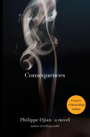 Cover of the book Consequences by Mary Yungeberg
