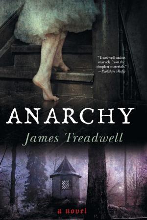Cover of the book Anarchy by Javier Sierra