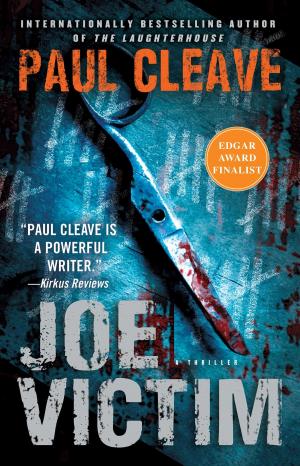 Cover of the book Joe Victim by M. J. Rose