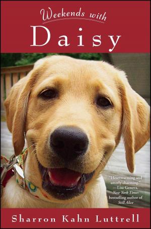 Cover of the book Weekends with Daisy by Kristy Woodson Harvey