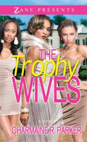 Book cover of The Trophy Wives