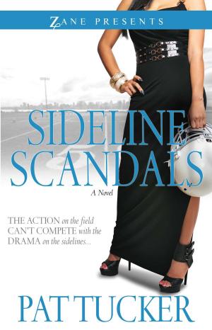 Cover of the book Sideline Scandals by Jennifer Lewis