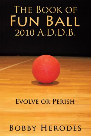 Book cover of The Book of Fun Ball 2010 A.D.D.B.