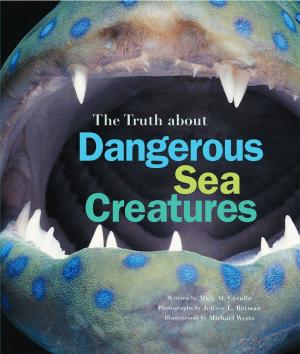 Cover of the book The Truth About Dangerous Sea Creatures by David Borgenicht, Joshua Piven, Ben H. Winters