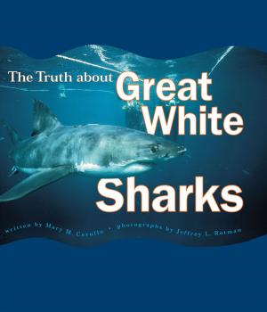 Cover of the book The Truth About Great White Sharks by Anna Bauer, Noam Levy