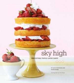 Cover of the book Sky High by Jodi Angel