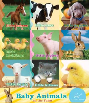 Cover of the book Baby Animals on the Farm by The Creators of Top Chef