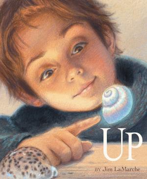 Cover of the book Up by Bob Barner