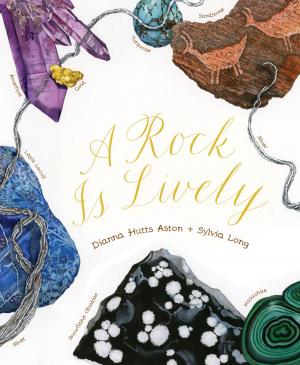 Cover of the book A Rock Is Lively by Elise McDonough