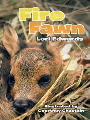 Cover of the book Fire Fawn by Janet Myatt