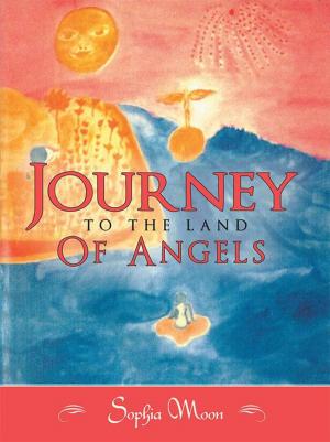 Cover of the book Journey to the Land of Angels by Kristin Hewett