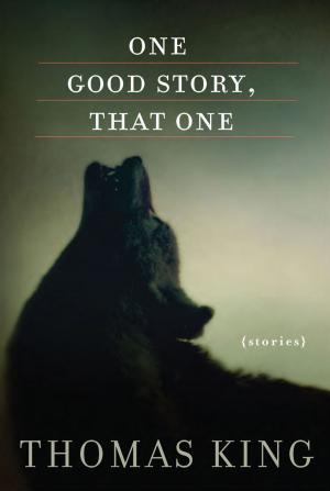 Book cover of One Good Story, That One