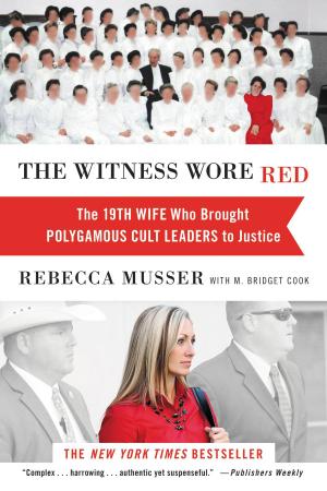 Cover of the book The Witness Wore Red by Katee Robert