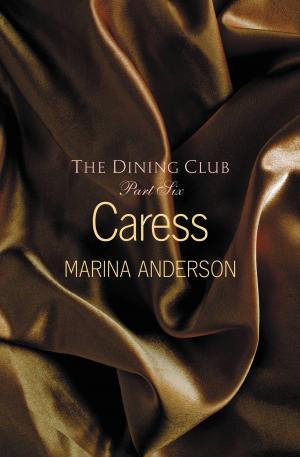 Cover of the book Caress by Nina Rowan