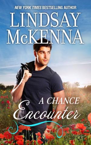 Cover of the book A Chance Encounter by Lucy Monroe
