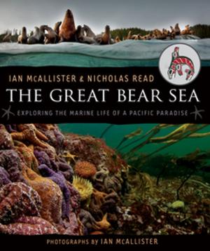 Cover of the book The Great Bear Sea by Norah McClintock