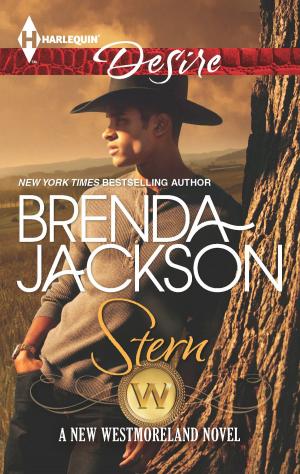 Cover of the book Stern by Lenora Worth, Maggie K. Black