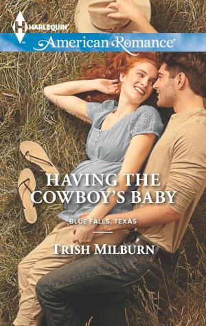Cover of the book Having the Cowboy's Baby by Lee Tobin McClain