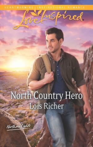 Cover of the book North Country Hero by Nancy Robards Thompson