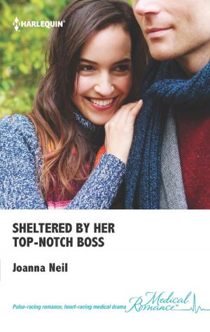 Cover of the book Sheltered by Her Top-Notch Boss by Kimberly Van Meter
