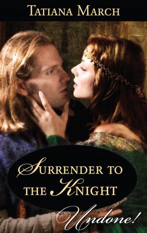 Cover of the book Surrender to the Knight by Kira Sinclair, Kimberly Raye, Debbi Rawlins, Samantha Hunter