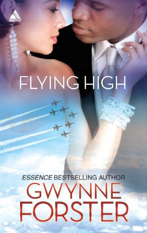 Cover of the book Flying High by Phyllis Halldorson
