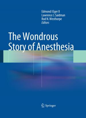 Cover of the book The Wondrous Story of Anesthesia by Chiara Brombin, LUIGI SALMASO