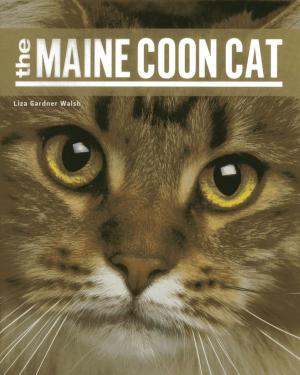 Book cover of The Maine Coon Cat