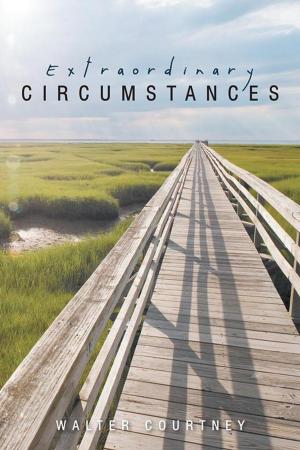 Cover of the book Extraordinary Circumstances by Maura O’Leary