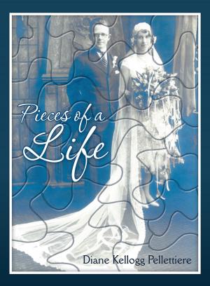 Cover of the book Pieces of a Life by Jeffrey Warren Odell