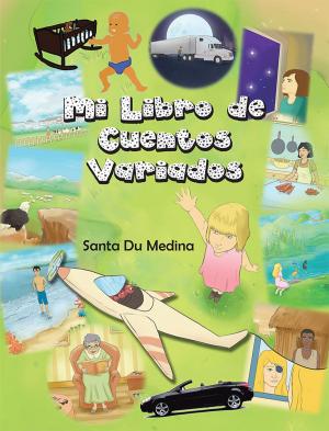 Cover of the book Mi Libro De Cuentos Variados by Hrodrik von Hess
