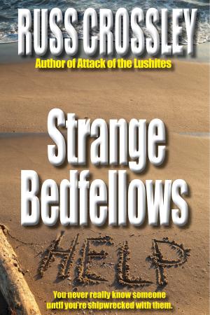 Cover of the book Strange Bedfellows by Ashlee Nicole Bye