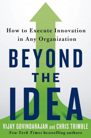 Cover of the book Beyond the Idea by Lara Shriftman, Elizabeth Harrison