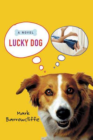 Cover of the book Lucky Dog by Charlie Newlands