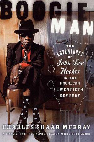 Cover of the book Boogie Man by Lisa Lillien