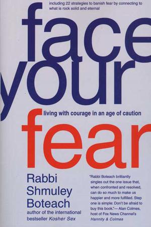 Cover of the book Face Your Fear by Deborah Swift