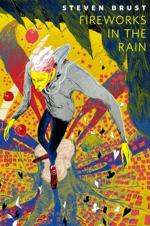 Cover of the book Fireworks in the Rain by Diana L. Paxson