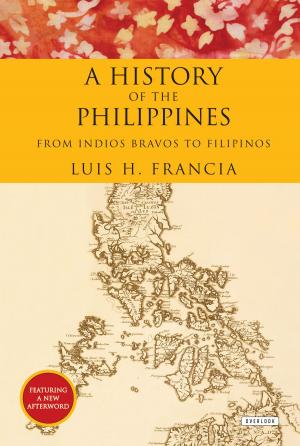 Cover of the book History of the Philippines by Dominik Martzy