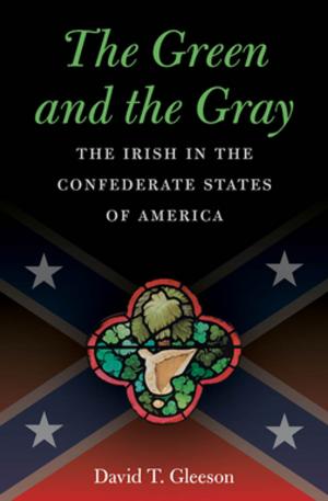 Cover of the book The Green and the Gray by Howard Risatti