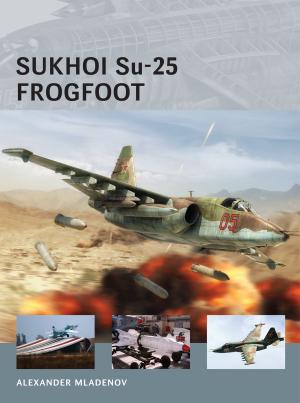 Cover of the book Sukhoi Su-25 Frogfoot by Steve Voake