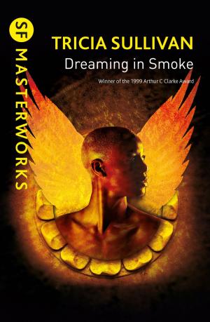 Cover of the book Dreaming In Smoke by Jordan Bourke